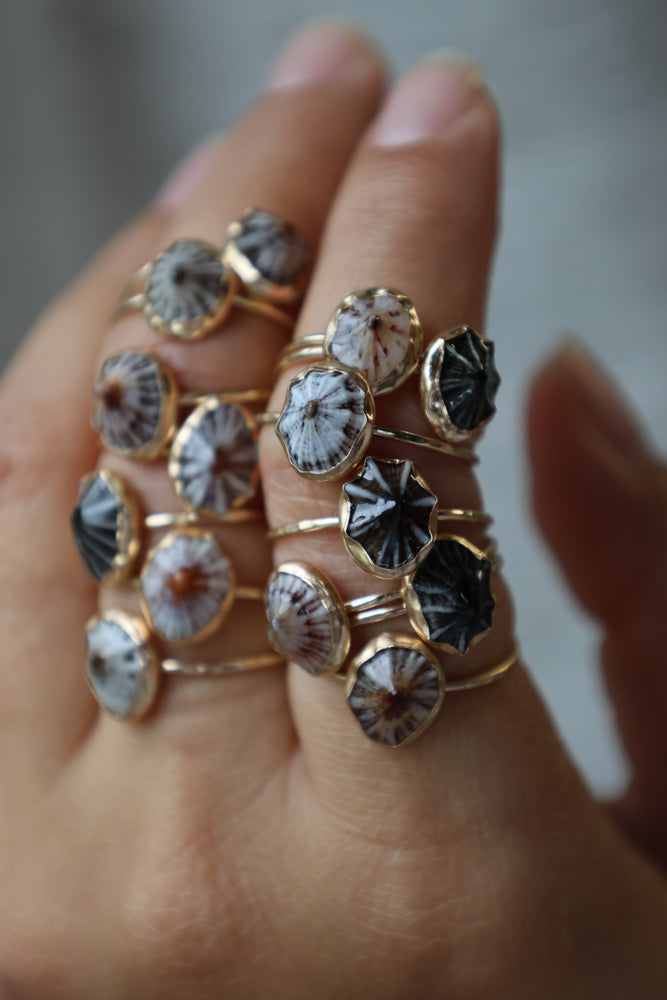 Bezeled 'Opihi 'Awa Ring – Hina’s Treasures Hawaii
