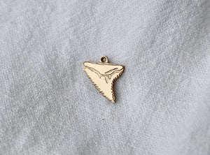 Shark Tooth Charm