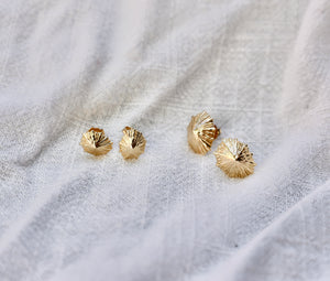 Solid Gold 'Opihi Studs