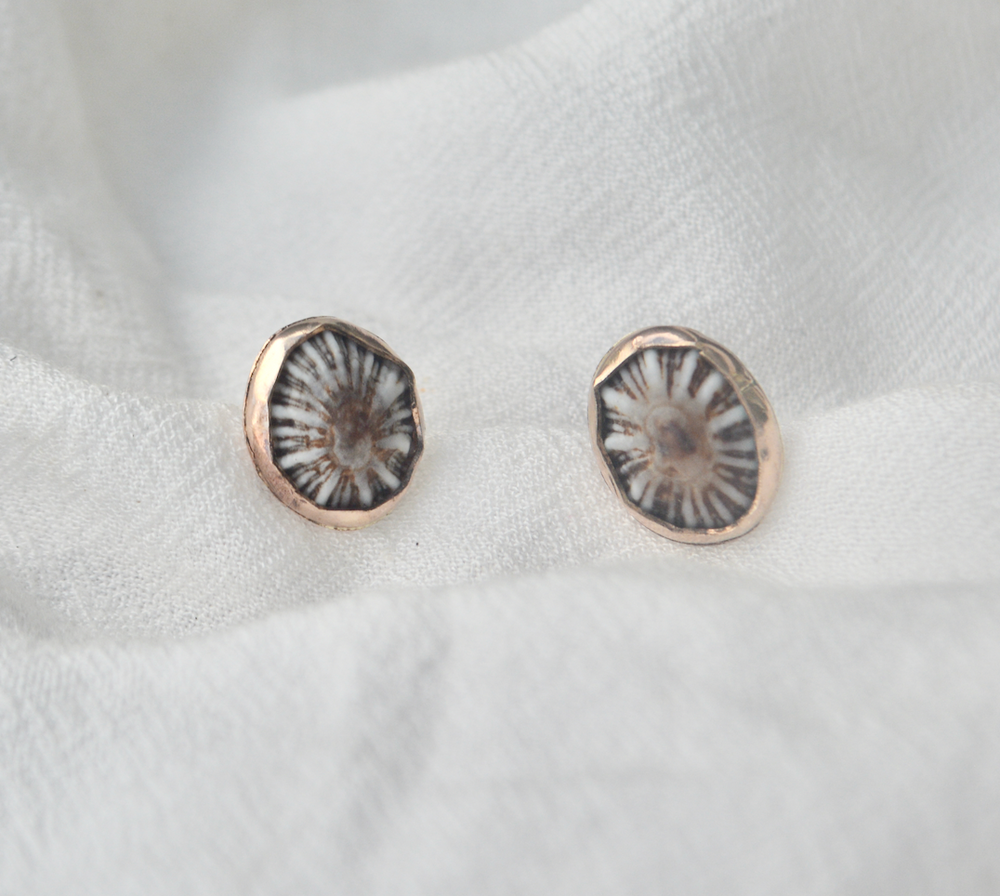 
            
                Load image into Gallery viewer, &amp;#39;Opihi Studs
            
        