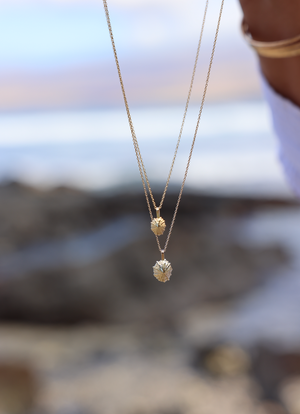 Solid Gold 'Opihi Necklace