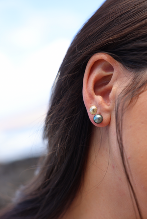 Solid Gold 'Opihi Studs