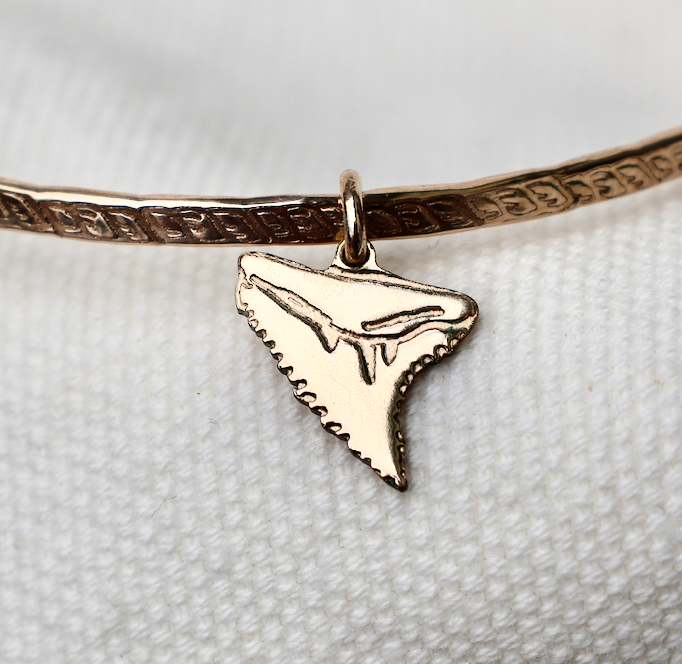 Shark Tooth Charm