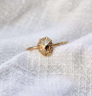 Solid Gold 'Opihi Ring (Mini)