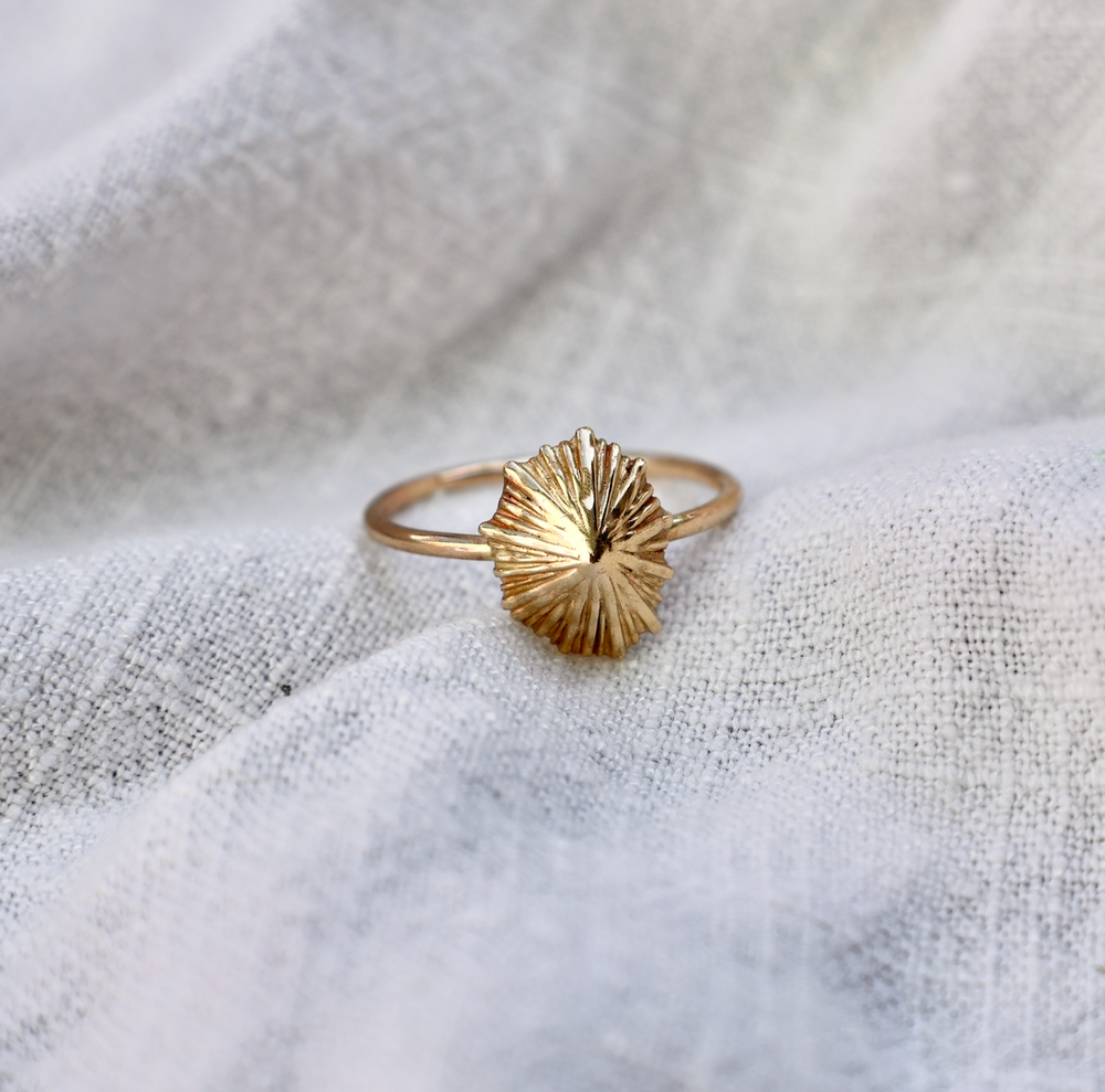 Solid Gold Opihi Ring