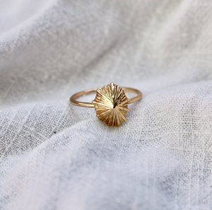 Solid Gold Opihi Ring