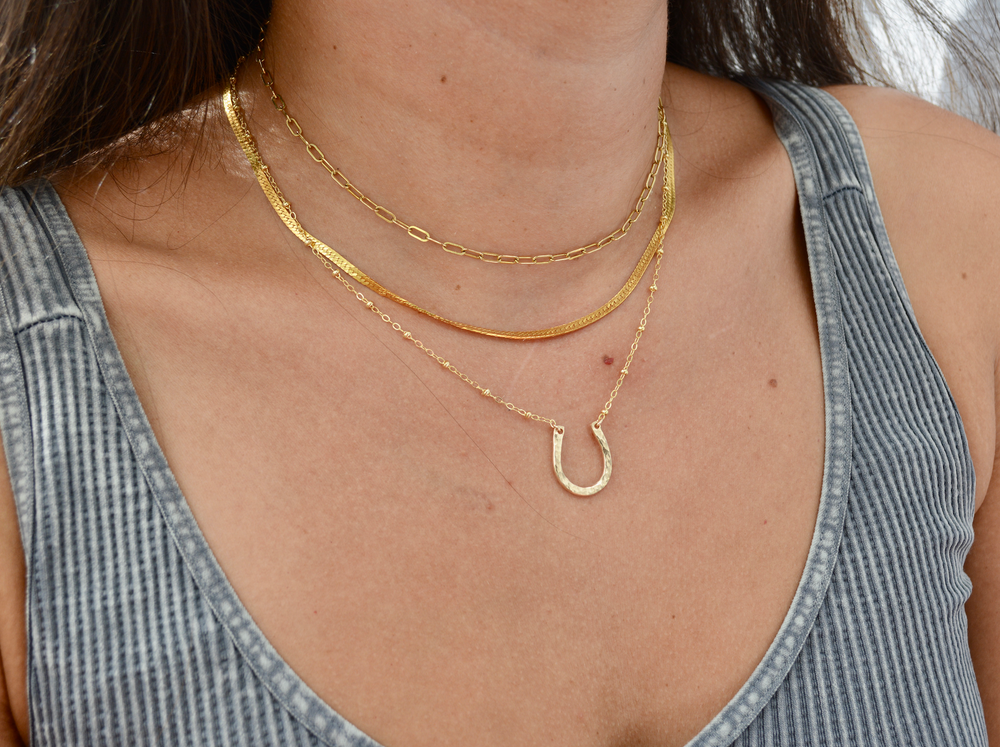 
            
                Load image into Gallery viewer, Horseshoe Necklace
            
        
