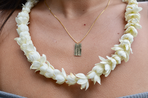 Hae Hawai'i Necklace